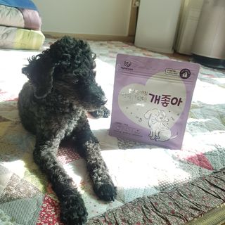 My Pet Care 천연단백질 치아건강에 개좋아 — 5점을 준 리뷰어가 2021년 2월 올린 사용 사진
