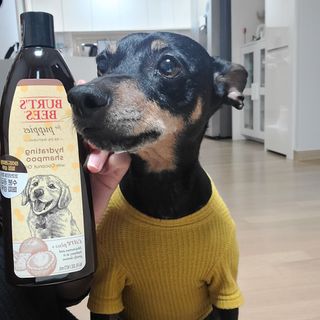 삐차님이 올린 리뷰 사진 2