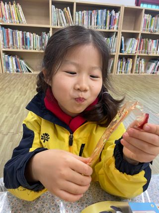 젤리벨리 젤리스틱 어쏘티드 900g — 5점을 준 리뷰어가 2022년 11월 올린 사용 사진