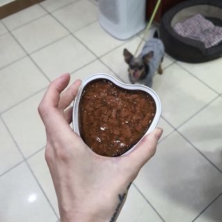비타크래프트 조에시 하트캔 85g 강아지 습식캔 10캔 — 5점을 준 리뷰어가 2021년 9월 올린 사용 사진