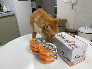 지동님이 올린 리뷰 사진 4