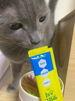 냥냥이님이 올린 리뷰 사진 4