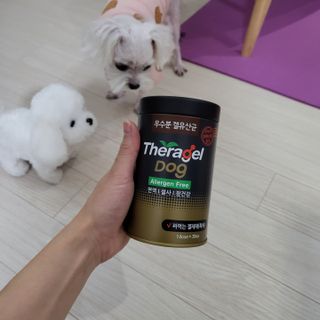 댑빵이님이 올린 리뷰 사진 2