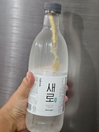 soling님이 올린 리뷰 사진 4