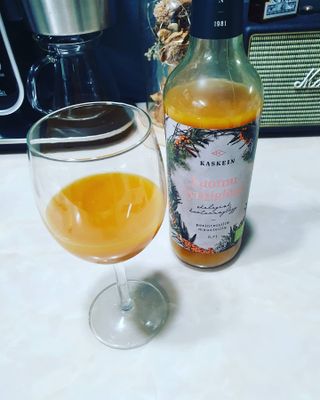 H365 [Kaskein Luomutyrniglögi] 핀란드 전통 무알콜 멀드와인 시벅톤 글로기 — 5점을 준 리뷰어가 2021년 4월 올린 사용 사진