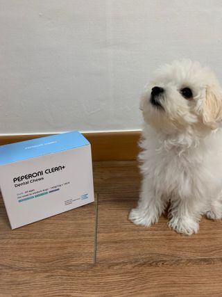 페페로니 클린플러스 덴탈오리껌 10g x 14p — 5점을 준 리뷰어가 2021년 7월 올린 사용 사진