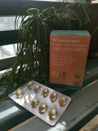 비건타민 식물성 알티지 오메가3 — 5점을 준 리뷰어가 2021년 3월 올린 사용 사진