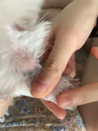 그래그래님이 올린 리뷰 사진 3