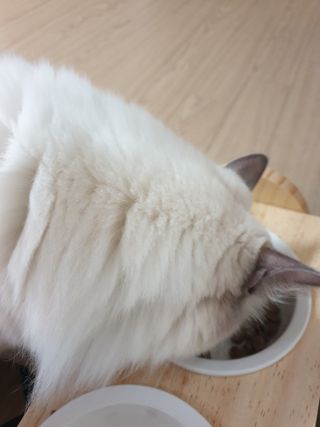 영팔이님이 올린 리뷰 사진 3