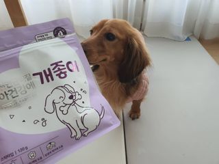 My Pet Care 천연단백질 치아건강에 개좋아 — 5점을 준 리뷰어가 2021년 1월 올린 사용 사진