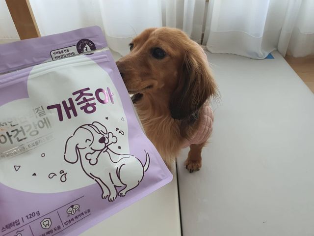 천연단백질 치아건강에 개좋아 리뷰 사진