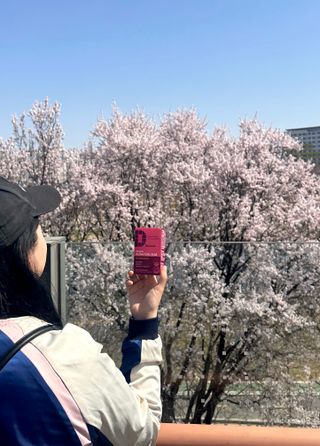 햇님님이 올린 리뷰 사진 2