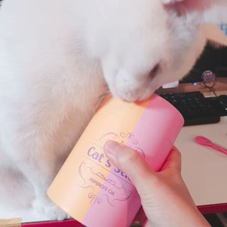 페페로니 맛있는 스틱 - 무항생제 닭고기 15개 + 알래스카 연어 15개 — 5점을 준 리뷰어가 2021년 8월 올린 사용 사진