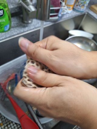 안성하님이 올린 리뷰 사진 1