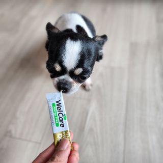 썽이mom앙꼬님이 올린 리뷰 사진 1