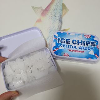 [아이스칩스] 무설탕 비건 자일리톨 캔디 7종 2개기준 — 5점을 준 리뷰어가 2021년 6월 올린 사용 사진