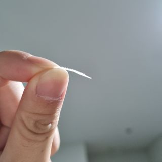 Lepus님이 올린 리뷰 사진 3