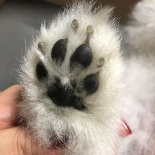 나니누네노님이 올린 리뷰 사진 2