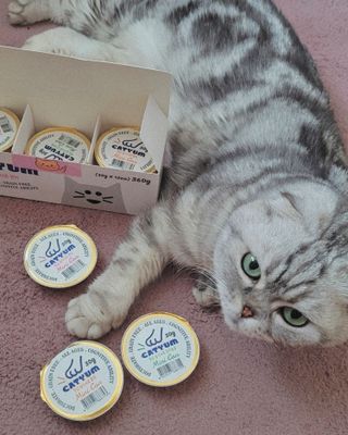 유햐님이 올린 리뷰 사진 1