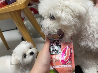 ORIHIRO 오리히로 곤약젤리 제로칼로리 130g 4종 4팩(맛별로 1팩씩) — 5점을 준 리뷰어가 2023년 1월 올린 사용 사진