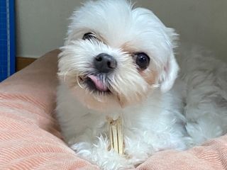 awedana님이 올린 리뷰 사진 2