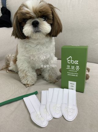 코보콩 에어슈즈 강아지 일회용 신발 소용량 패키지 20매 초경량  미끄럼방지 실내외 겸용 — 4점을 준 리뷰어가 2022년 2월 올린 사용 사진