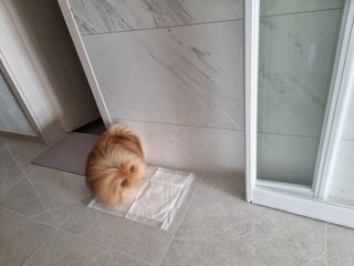 아롱이님이 올린 리뷰 사진 2