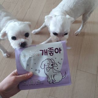 My Pet Care 천연단백질 치아건강에 개좋아 — 5점을 준 리뷰어가 2021년 2월 올린 사용 사진