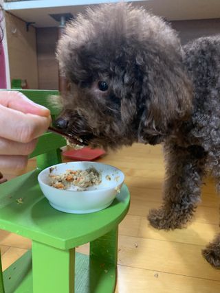 콩지님이 올린 리뷰 사진 4