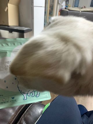 My Pet Care 천연단백질 눈건강에 개좋아 — 5점을 준 리뷰어가 2021년 1월 올린 사용 사진