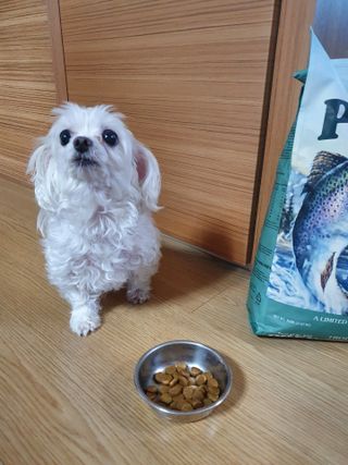 끌랑님이 올린 리뷰 사진 1