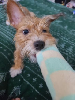 커피보고왔엄님이 올린 리뷰 사진 3