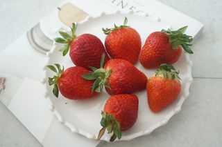 꼬물이님이 올린 리뷰 사진 3