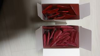 인디닥터 면역 생생 핑크 이뮨 젤리 + 타이탄 BCAA 프로틴 젤리스틱 — 4.5점을 준 리뷰어가 2022년 5월 올린 사용 사진