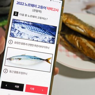 ㈜금호통상 노르웨이 고등어 900g (6~10편) — 5점을 준 리뷰어가 2022년 11월 올린 사용 사진