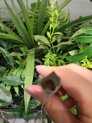 bellakim님이 올린 리뷰 사진 4