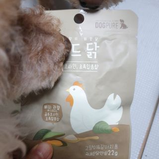 도그퓨어 푸드닭 강아지 닭고기 통살 애견간식 오리지널/차전자피/초록입홍합 — 5점을 준 리뷰어가 2021년 11월 올린 사용 사진
