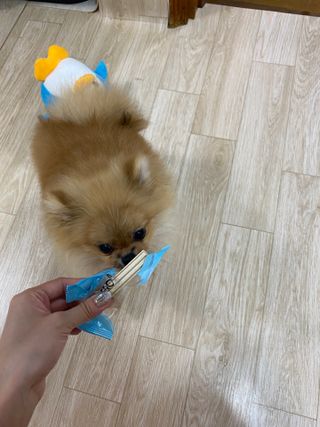 페페로니 2종 세트 클린플러스 덴탈껌 치킨+덕 — 5점을 준 리뷰어가 2021년 8월 올린 사용 사진