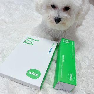 whol 키토미스트 150ml + 실리콘바디브러쉬  강아지 고양이 항균항바이러스, 강력탈취 피부 보습,무향 — 5점을 준 리뷰어가 2022년 9월 올린 사용 사진