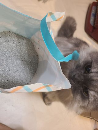 박오뎅님이 올린 리뷰 사진 2
