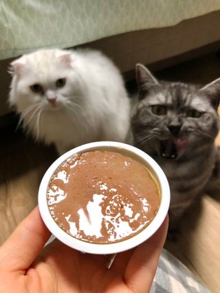 지연님이 올린 리뷰 사진 3