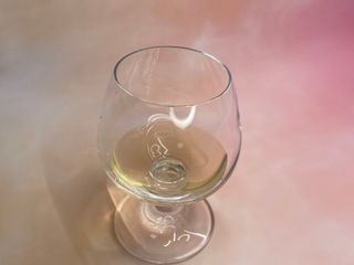 주식회사 메디프바이오 클로로핏 — 5점을 준 리뷰어가 2023년 8월 올린 사용 사진