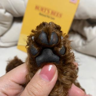 버츠비 케어플러스 릴리빙포앤노즈로션 — 3.5점을 준 리뷰어가 2021년 4월 올린 사용 사진
