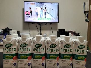 셀렉스스포츠 셀렉스 스포츠 웨이 프로틴 복숭아_ 330ml x 12팩 — 5점을 준 리뷰어가 2021년 9월 올린 사용 사진