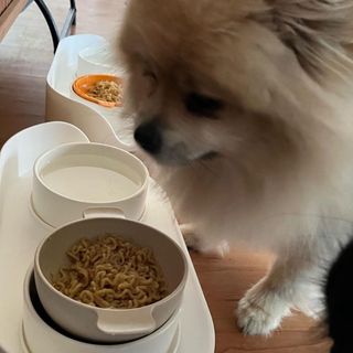 짱아언니님이 올린 리뷰 사진 1
