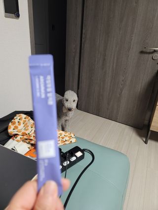 박지안님이 올린 리뷰 사진 1