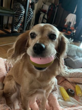 초오기님이 올린 리뷰 사진 2