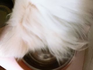 요블리님이 올린 리뷰 사진 4