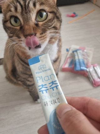 별빛달숲님이 올린 리뷰 사진 1