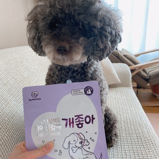 My Pet Care 천연단백질 치아건강에 개좋아 — 5점을 준 리뷰어가 2021년 1월 올린 사용 사진